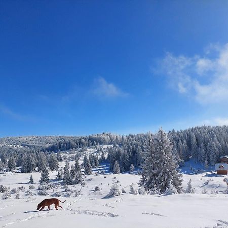 Вилла Gold Hill Sekulic Экстерьер фото